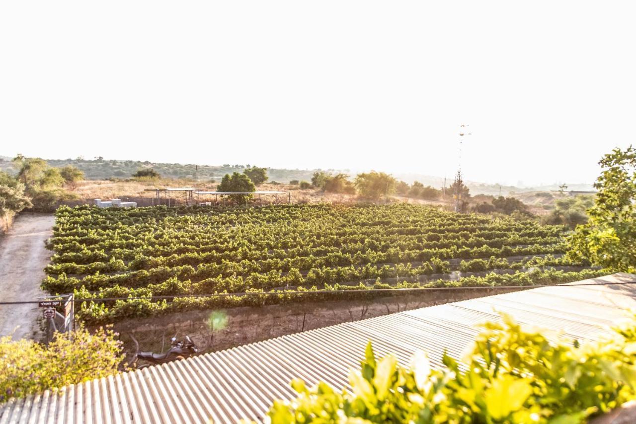 Villa Mettler Winery Agur Exterior foto