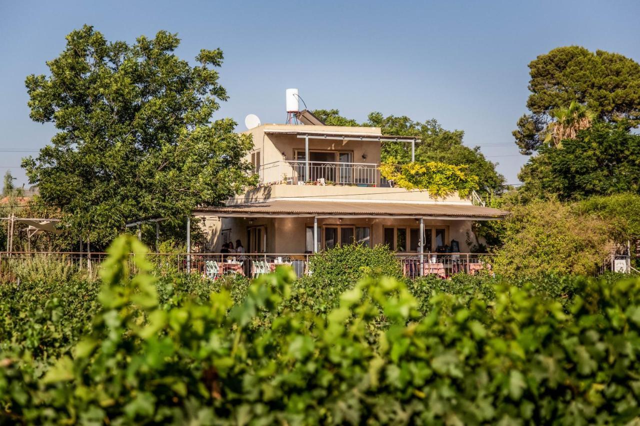 Villa Mettler Winery Agur Exterior foto